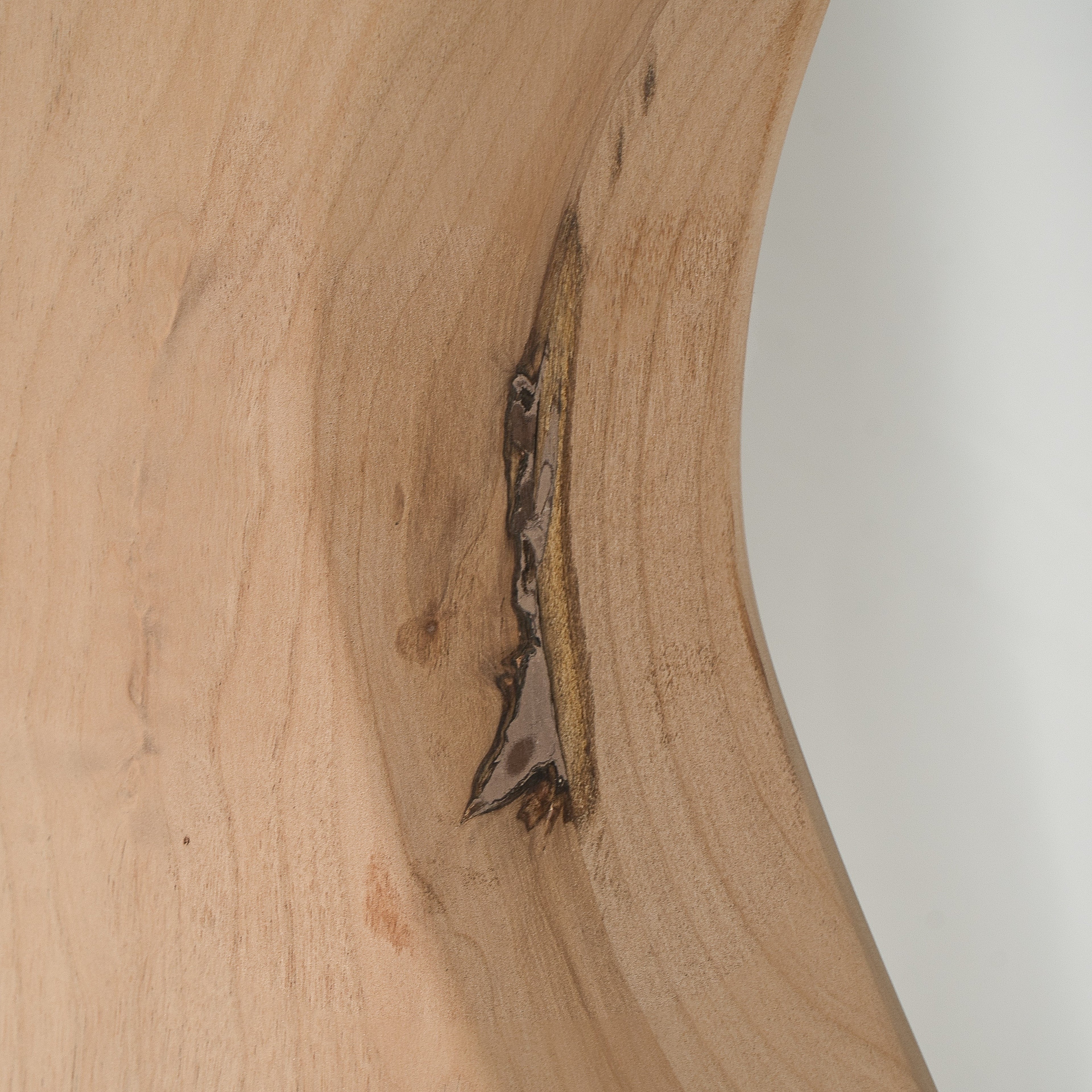 Paint Grade Alder Jazzmaster Body