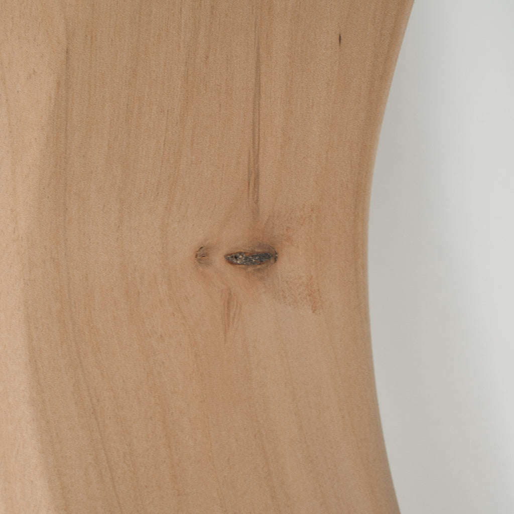 Paint Grade Alder P Bass Body