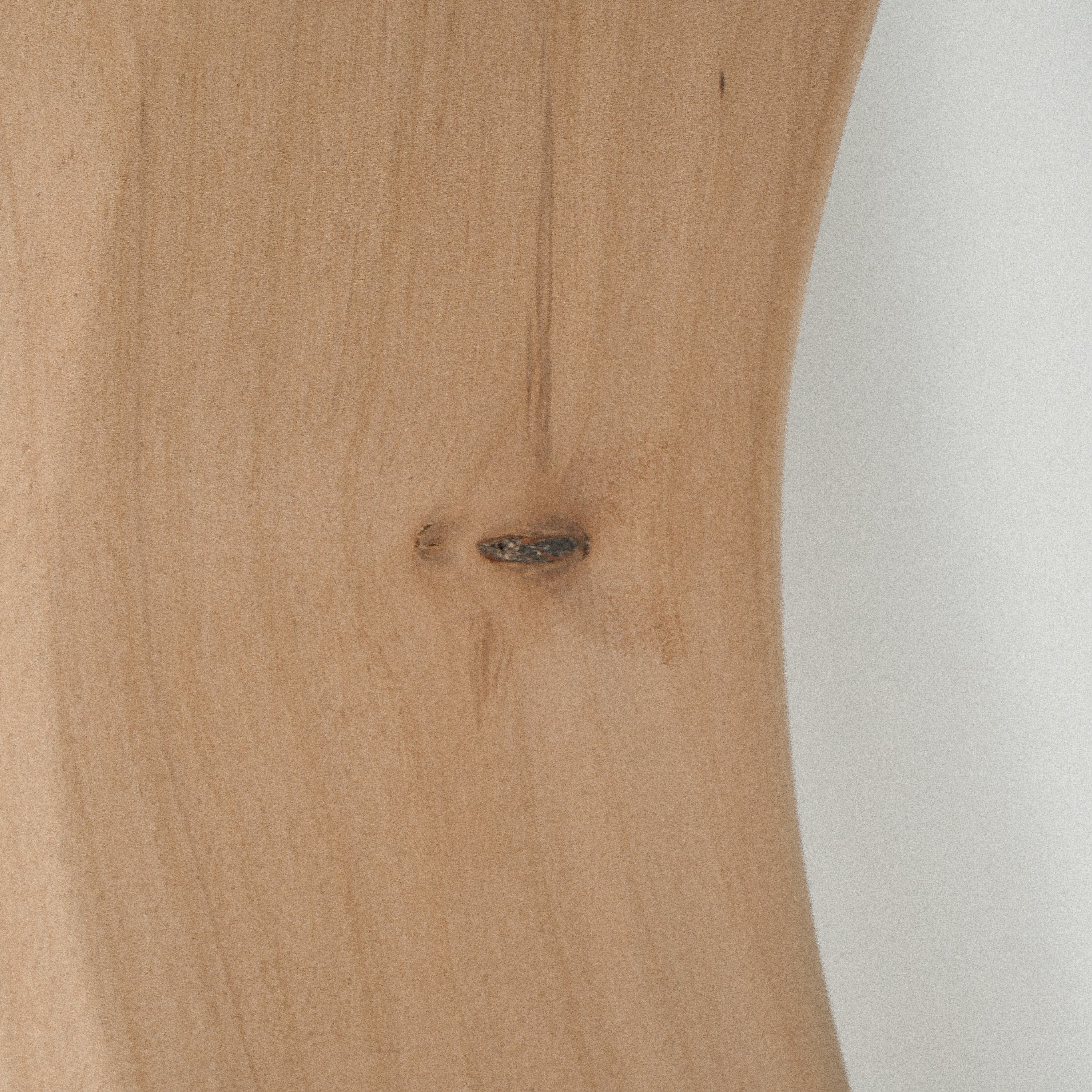 Paint Grade Alder P Bass Body